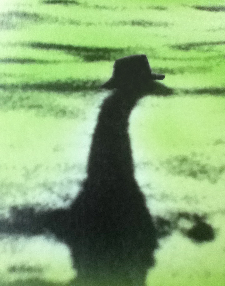 1989 Gary Floater publicity shot